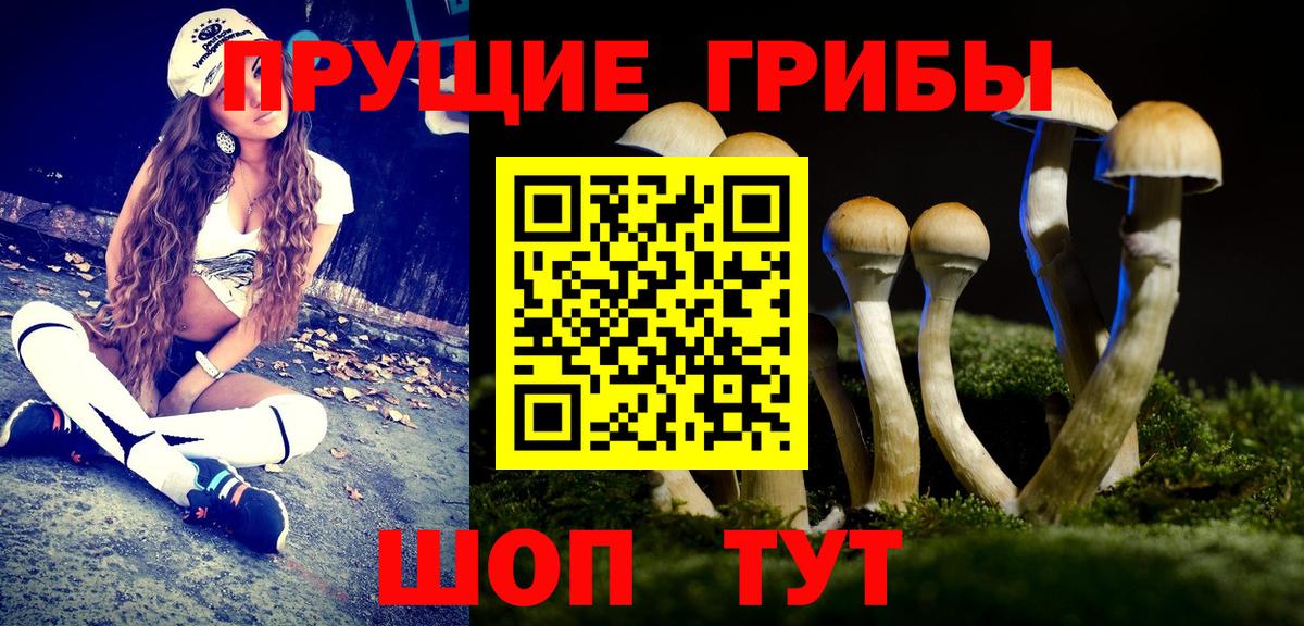 Псилоцибиновые грибы MAGIC MUSHROOMS  Вход с VPN  Саранск 
